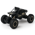 Rc Monster car