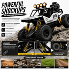1:12 Scale RC Rock Crawler 4x4 Off-Road Car with Shock Absorbers, LED Lights & Smoke Effect, Type-C Rechargeable
